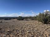 Lot 215 Woodland Valley Ranch - Photo 9