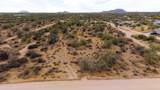 16324 Horned Owl Trail - Photo 10