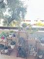7625 Camelback Road - Photo 31