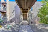 7402 Carefree Drive - Photo 5