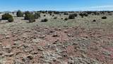 TBD Windsor Valley Ranch Lot - Photo 13