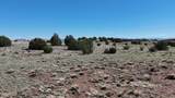 TBD Windsor Valley Ranch Lot - Photo 19