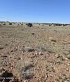 TBD Windsor Valley Ranch Lot - Photo 8