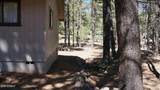 1667 Little Pine Trail - Photo 30