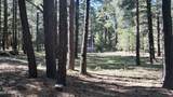 1667 Little Pine Trail - Photo 32