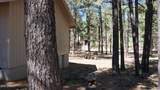 1667 Little Pine Trail - Photo 33