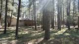 1667 Little Pine Trail - Photo 34
