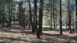 1667 Little Pine Trail - Photo 38