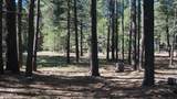 1667 Little Pine Trail - Photo 39