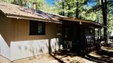 1667 Little Pine Trail - Photo 4