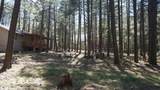 1667 Little Pine Trail - Photo 40