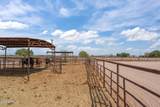 840 Sunshine Boulevard - Photo 47
