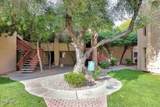 3119 Cochise Drive - Photo 32