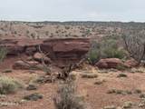 Lot 222 River Springs Ranch - Photo 13
