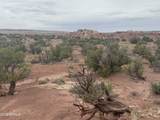 Lot 222 River Springs Ranch - Photo 16
