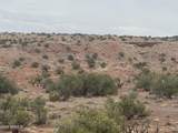Lot 222 River Springs Ranch - Photo 17