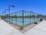 7369 Cactus Wren Way - Photo 13