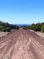 TBD Co Rd 8307 Lot 100 - Photo 1