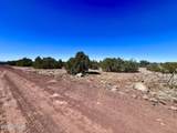 TBD Co Rd 8307 Lot 100 - Photo 10