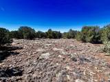 TBD Co Rd 8307 Lot 100 - Photo 11