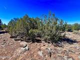 TBD Co Rd 8307 Lot 100 - Photo 12