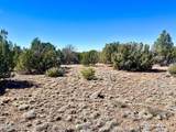 TBD Co Rd 8307 Lot 100 - Photo 13