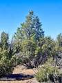 TBD Co Rd 8307 Lot 100 - Photo 14