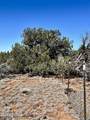 TBD Co Rd 8307 Lot 100 - Photo 15