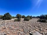 TBD Co Rd 8307 Lot 100 - Photo 17