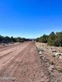 TBD Co Rd 8307 Lot 100 - Photo 19