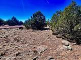 TBD Co Rd 8307 Lot 100 - Photo 3