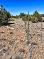 TBD Co Rd 8307 Lot 100 - Photo 4