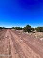 TBD Co Rd 8307 Lot 100 - Photo 5