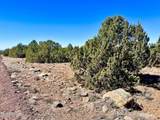 TBD Co Rd 8307 Lot 100 - Photo 6