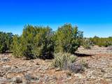 TBD Co Rd 8307 Lot 100 - Photo 7