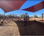 4631 Lone Cactus Drive - Photo 35