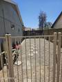 7344 Windrose Drive - Photo 5
