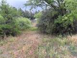 2211 Roundup Trail - Photo 2