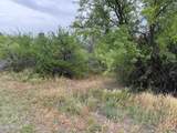 2211 Roundup Trail - Photo 7