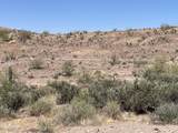 0X Elephant Butte ''1'' Road - Photo 7