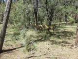 350 Canyon Drive - Photo 19