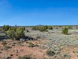 5355 Alta Villa Road - Photo 10