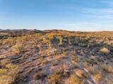 1125 Mustang Trail - Photo 55