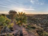 1125 Mustang Trail - Photo 58