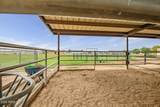 9104 229TH Drive - Photo 55