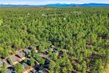 3915 Elk Hollow Drive - Photo 38
