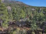 4802 Pine Lane - Photo 28