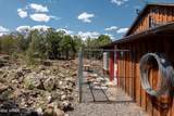 42320 Walk About Trail - Photo 11