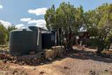 42320 Walk About Trail - Photo 16