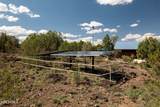 42320 Walk About Trail - Photo 19